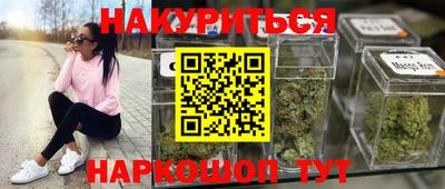 амф Кингисепп