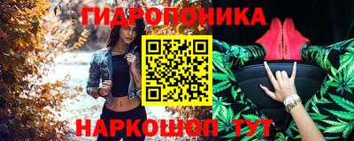амф Кингисепп