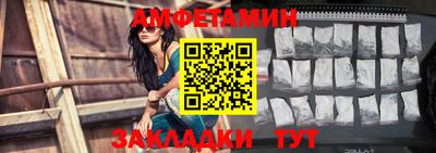 амф Кингисепп